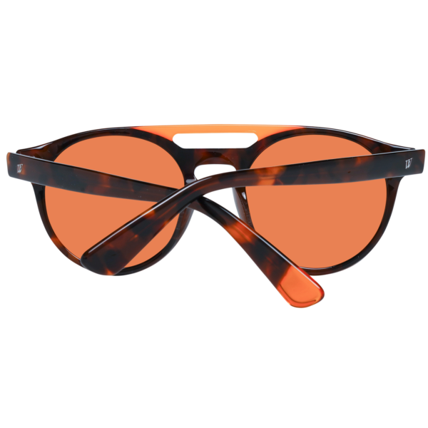 WEB SUNGLASSES ***SPECIAL PRICE***