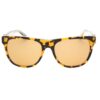 Brown Resin Sunglasses