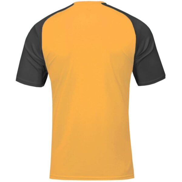 Joma Academy IV Sleeve maglia da calcio 101968.081