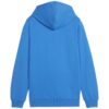 Felpa Puma Team Goal Casuals Hoddy Jr 658619 02