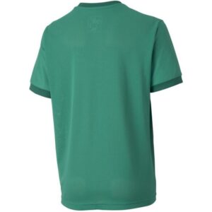 Maglietta Puma teamGOAL 23 Jersey Jr 704160 05