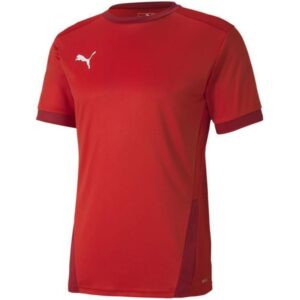 Maglia Puma teamGOAL 23 M 704171 01