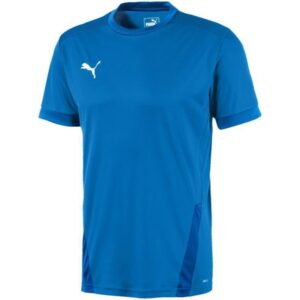 Maglia Puma teamGOAL 23 M 704171 02
