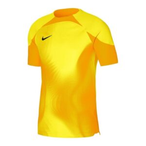 Maglia da portiere Nike Dri-FIT ADV Gardien 4 M DH7760-719