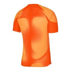 Maglia da portiere Nike Dri-FIT ADV Gardien 4 M DH7760-819
