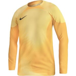 Maglia da portiere Nike Gardien IV Goalkeeper JSY M DH7967 719
