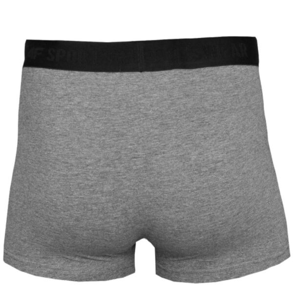 Slip uomo 4F M H4L22-BIM350-90M boxer shorts