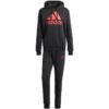 Tuta sportiva adidas Big Logo Terry M IP5553