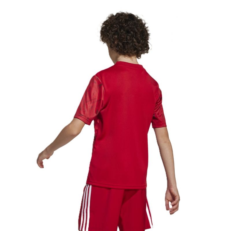 adidas Team Icon 25 Jr T-shirt JM8362